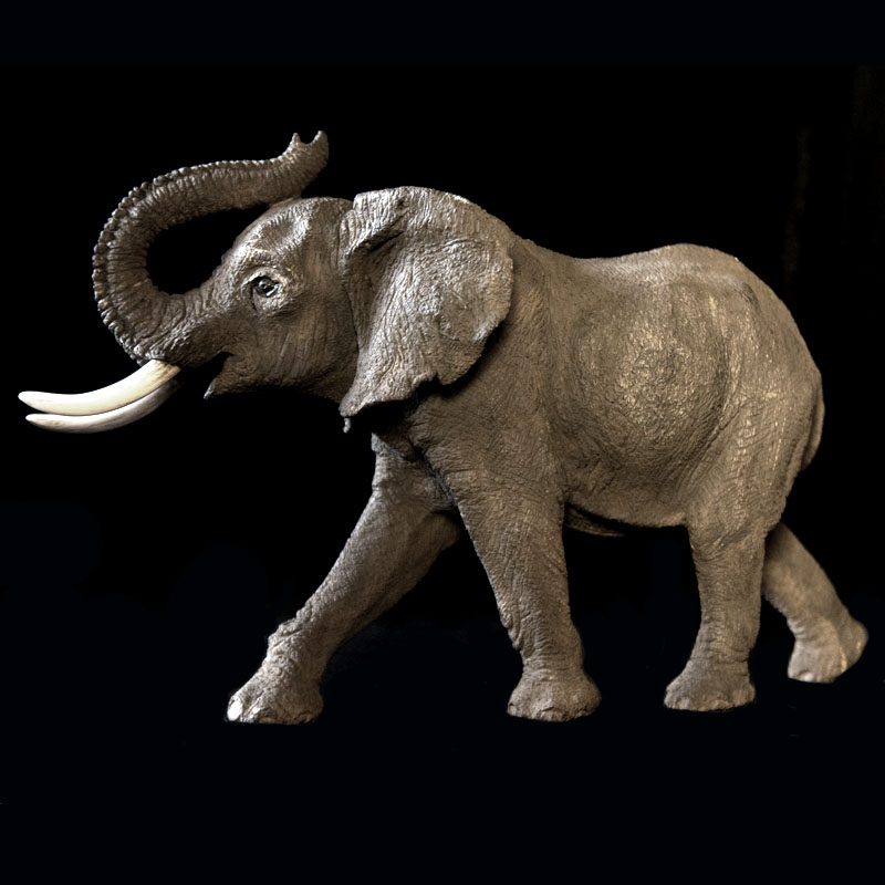 Small Elephant without stand