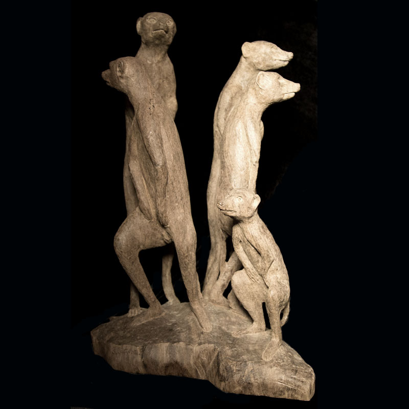 Meerkats