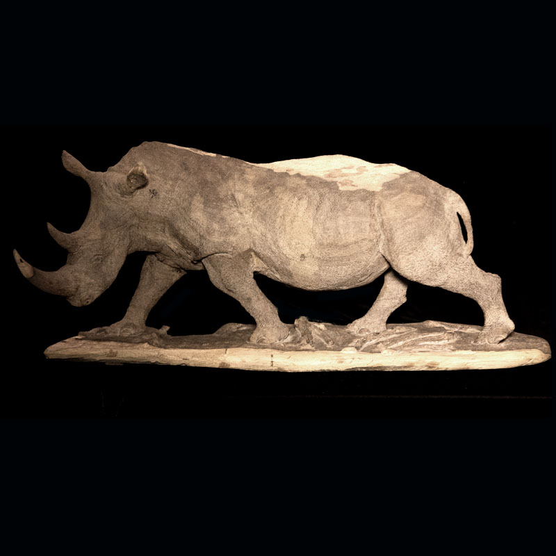Rhino with line on side