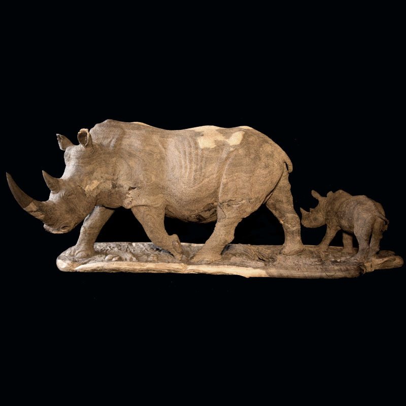 Rhino Mother and Child