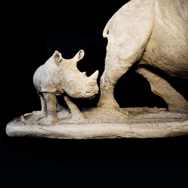 Rhino Mother and Child