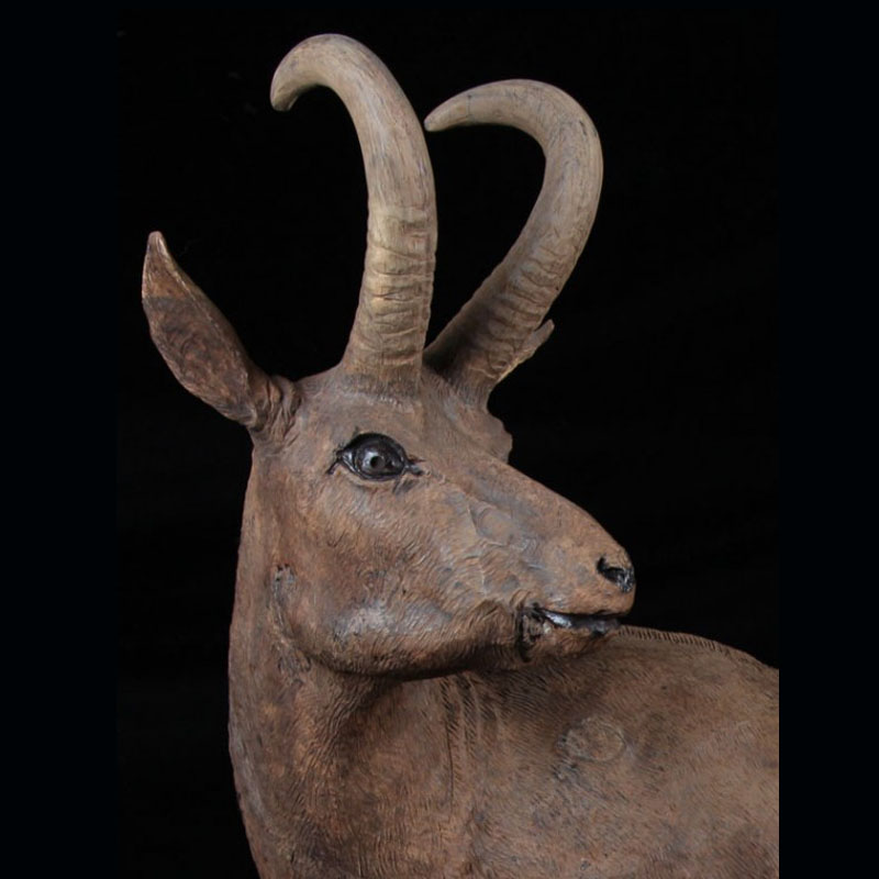 mountain goat